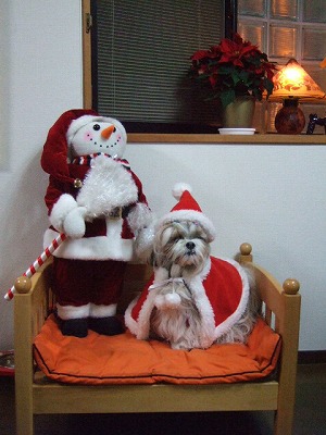 クリスマスの借り物犬ロンロン
